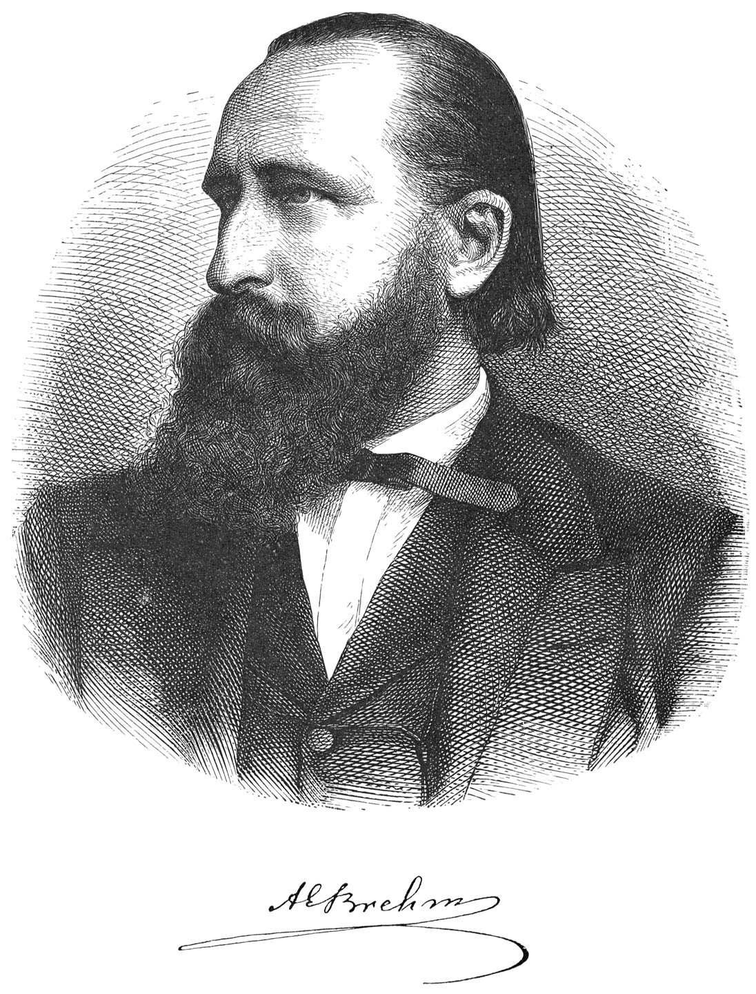 A. E. Brehm
