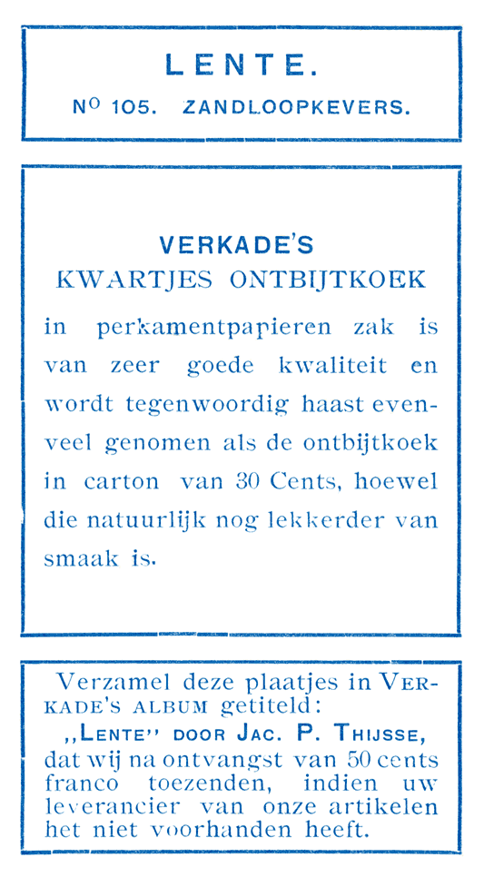 Zandloopkevers.