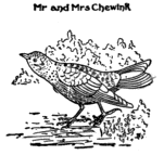 Mr and Mrs Chewink