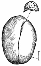 Fig. 26.