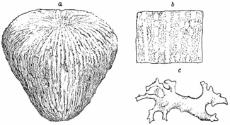 Fig. 65.