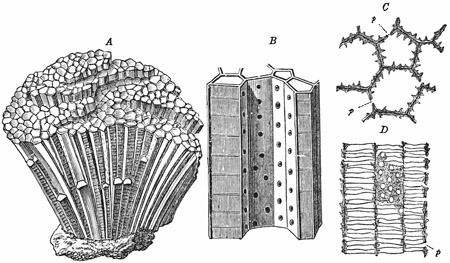 Fig. 188.