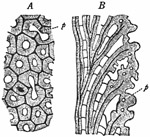 Fig. 189.