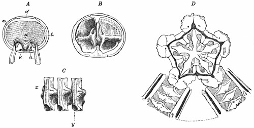 Fig. 348.