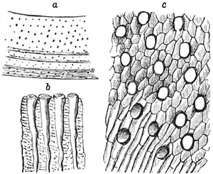 Fig. 473.