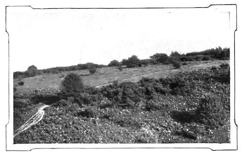 landscape with open fields