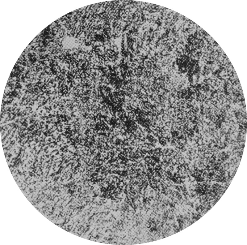 The magnified sectional view of a eutectoid
                steel rod is characterized by finely distributed structures.