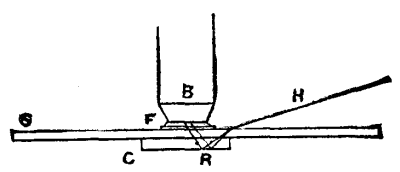 LIGHTON'S ILLUMINATOR.